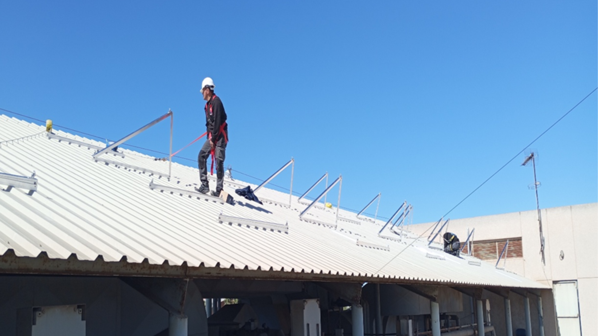 Diseño sin título (11)