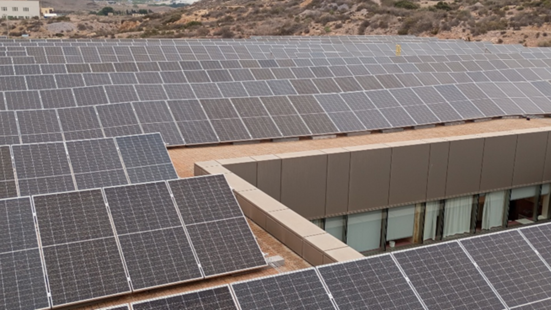 Diseño sin título (17)