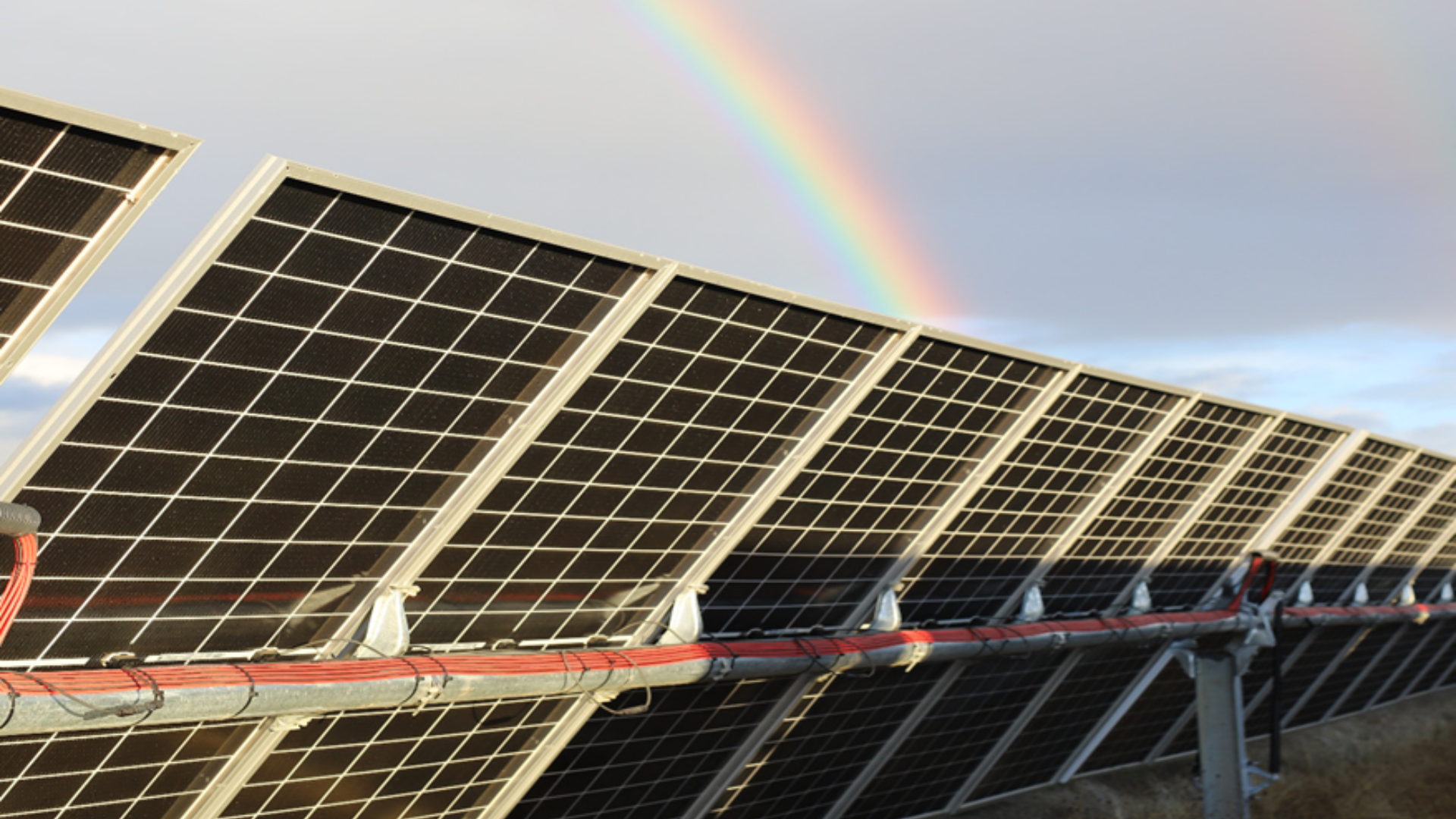 Diseño sin título (7)